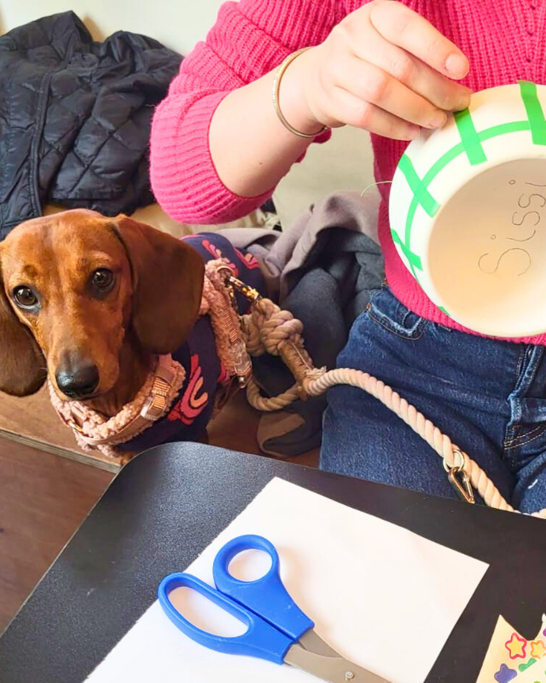 Bowl painting workshop at Barkers and Brothers 🐾 - Wednesday 10/04