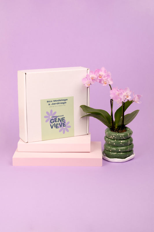 Modeling & gardening box - Make your flower pot and sow your aromatic plants!