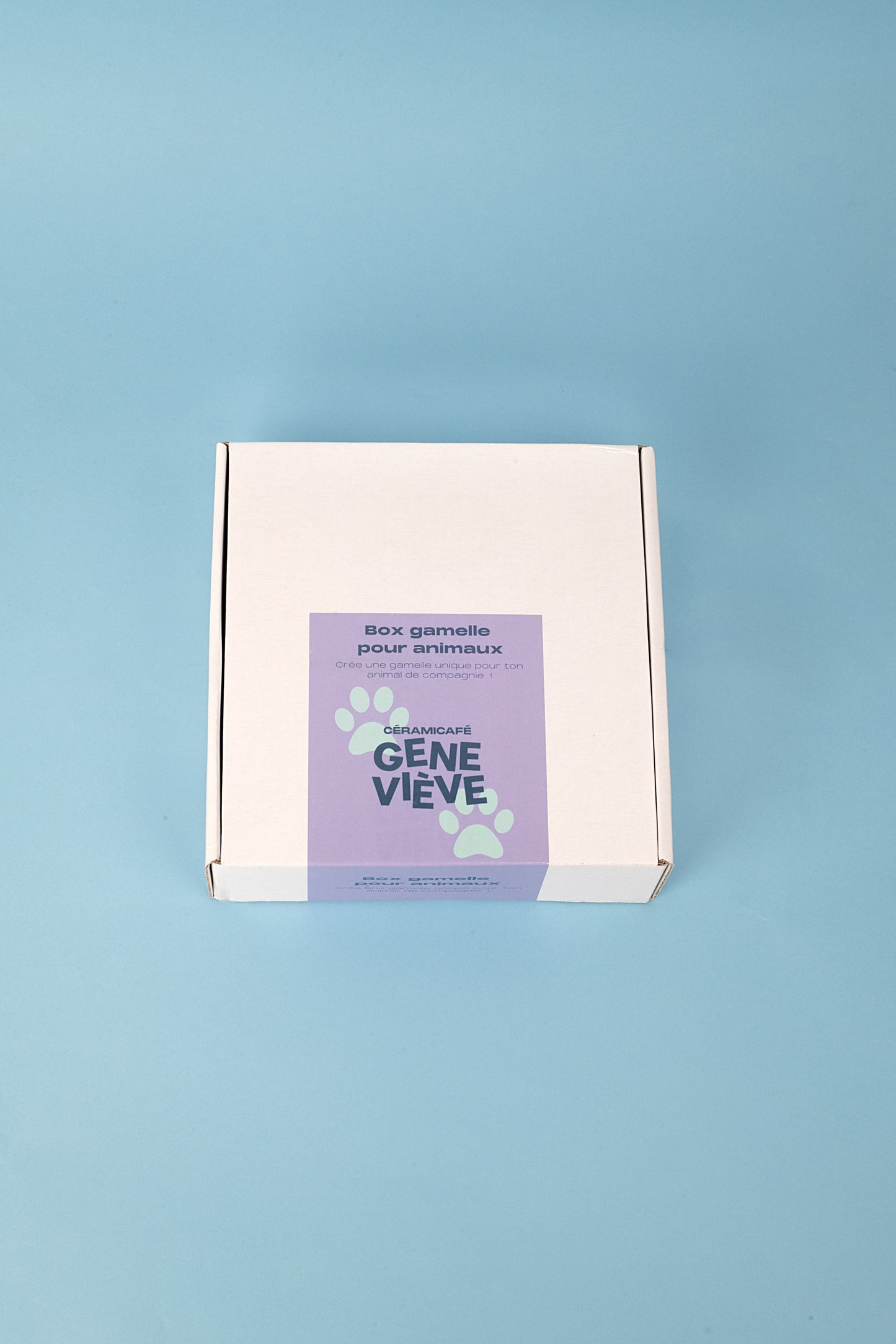Ceramic Painting Box - Bowl