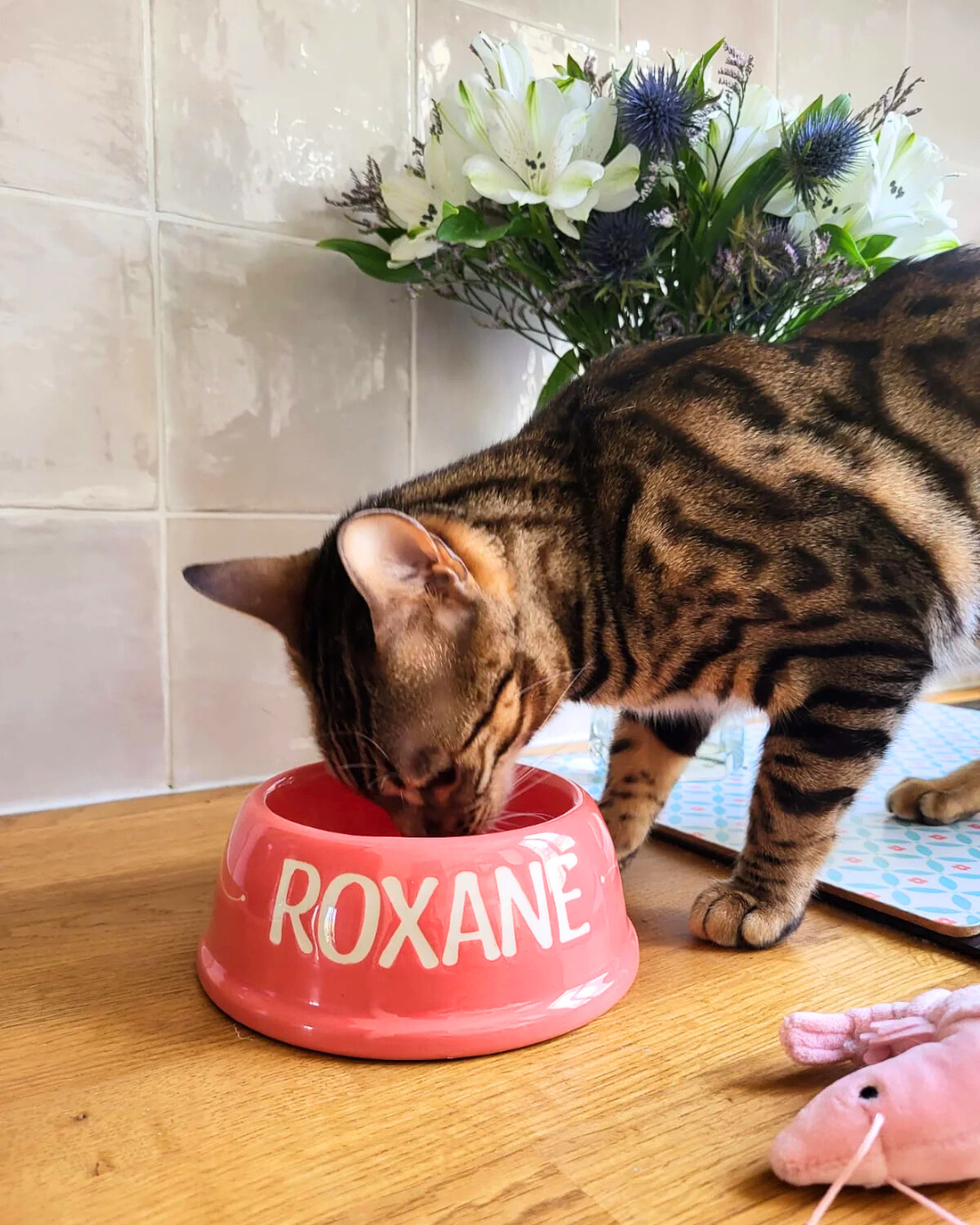 Bowl painting workshop at Barkers and Brothers 🐾 - Wednesday 10/04